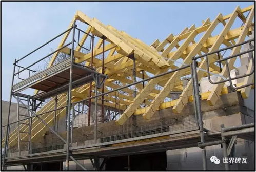 外國的磚有點厲害了 探析發達國家的建筑施工技術革新